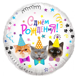 Гелиевый шар, Круг, С Днём Рождения, Котики