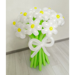 Букет из 11 ромашек №3