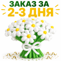 Ромашки