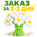 Круглые ромашки