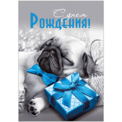 Открытка, С Днём Рождения, Мопс