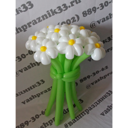 Букет из 9 ромашек №4